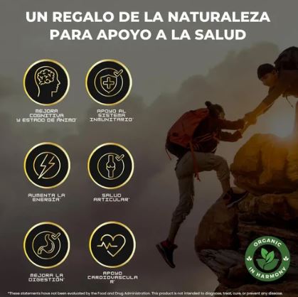 GOMAS SHILAJIT - Mega Oferta
